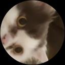 Greta Petenberg profile picture